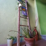 Affittacamere Casina Lubric