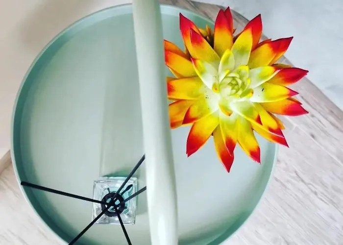 Guest house Casina Lubric Diano d'Alba